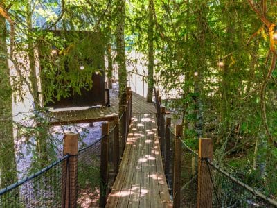 Cabane perchée dans les arbres, accessible par un chemin en bois, entourée de verdure.
