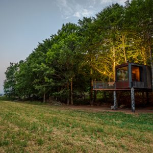 Cabane perchée en bois, éclairée par des lampes, entourée de verdure en Auvergne.