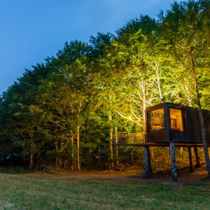 Cabane perchée illuminée au cœur des arbres en Auvergne-Rhône-Alpes.