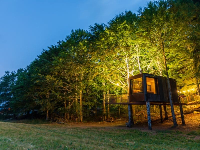 Cabane perchée illuminée au cœur des arbres en Auvergne-Rhône-Alpes.