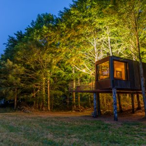 Cabane perchée en bois, illuminée, entourée darbres en Auvergne-Rhône-Alpes.