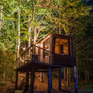 Cabane perchée dans les arbres, illuminée par des guirlandes, entourée de verdure.