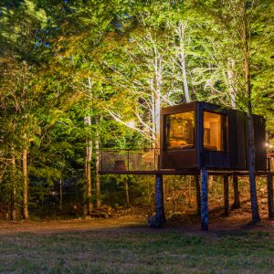Cabane perchée en bois, illuminée, entourée darbres en Auvergne-Rhône-Alpes.