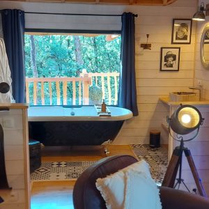 Hébergement insolite en Aquitaine : chalet moderne avec baignoire vintage et jukebox.
