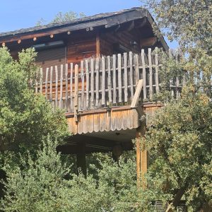 Cabane perchée en bois en Corse, entourée darbres verdoyants et dune balustrade en bois.