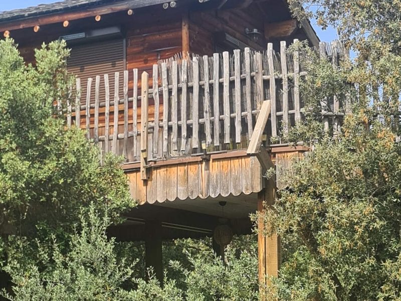 Cabane perchée en bois en Corse, entourée darbres verdoyants et dune balustrade en bois.