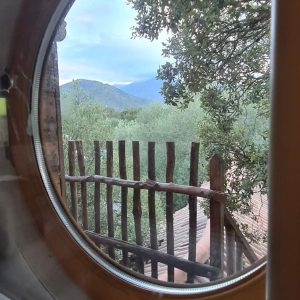 Vue depuis un hublot dun hébergement insolite en Corse, entouré de verdure.