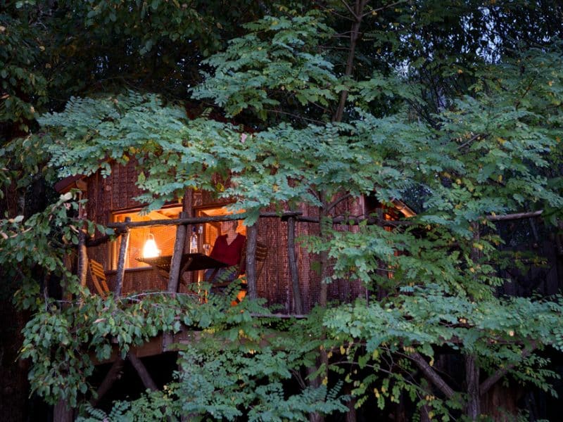 Cabane dans les arbres, éclairée par une douce lumière, entourée de verdure.