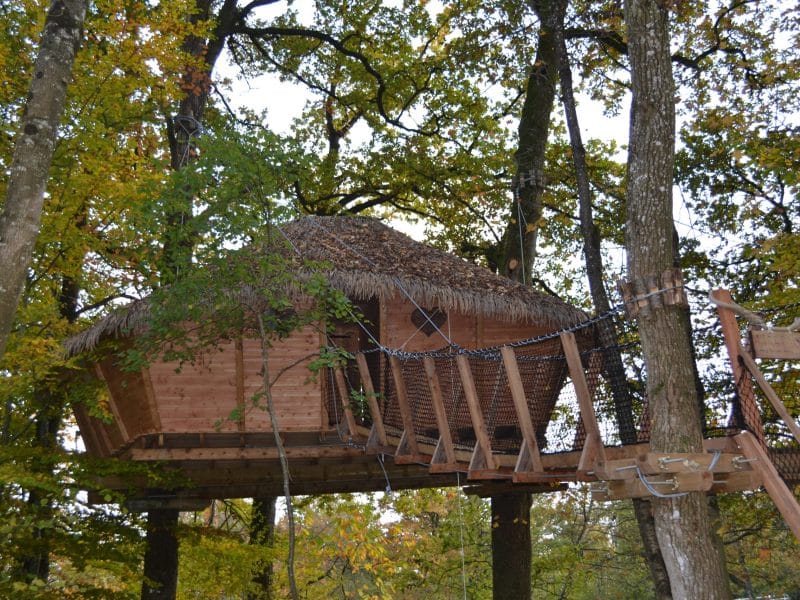 Cabane perchée dans les arbres, avec un toit en chaume et entourée de verdure.