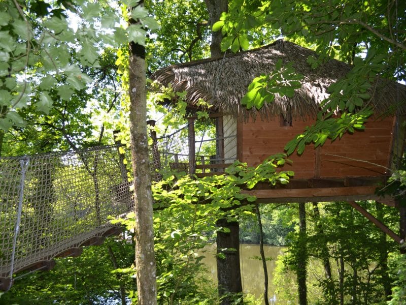 Cabane dans les arbres avec toit de chaume, entourée de verdure luxuriante.