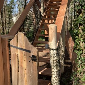 Escalier en bois menant à une cabane dans les arbres, entourée de verdure.