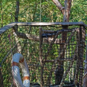 Cabane perchée dans les arbres, avec un filet de sécurité et une bouée de sauvetage.