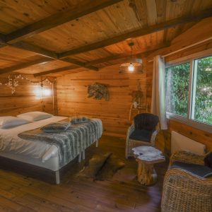 Chalet en bois chaleureux avec lit douillet et vue sur la nature verdoyante.