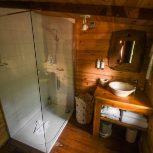 Douche moderne dans un chalet en bois, ambiance chaleureuse et naturelle.