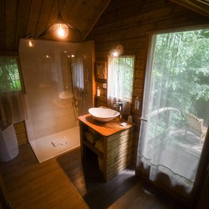 Cabane en bois avec salle de bain moderne, vue sur la nature verdoyante.