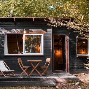 Cabane en bois dans les Hauts-de-France, entourée darbres, avec terrasse accueillante.