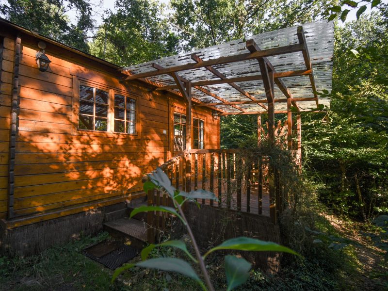 Cabane en bois dans les Hauts-de-France, entourée de verdure et de lumière naturelle.