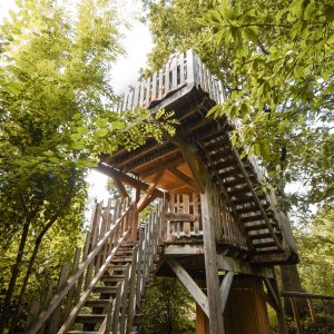 Cabane perchée en bois, entourée de verdure, offrant une vue imprenable sur la nature.