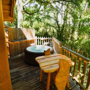 Cabane perchée en bois avec jacuzzi, entourée de verdure apaisante.
