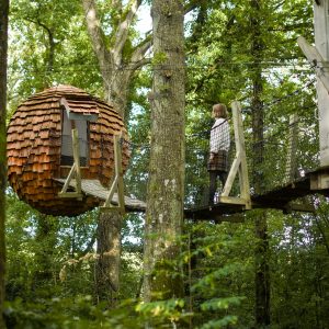 Cabane dans les arbres à Hauts-de-France, avec un toit en écorce et un pont suspendu.