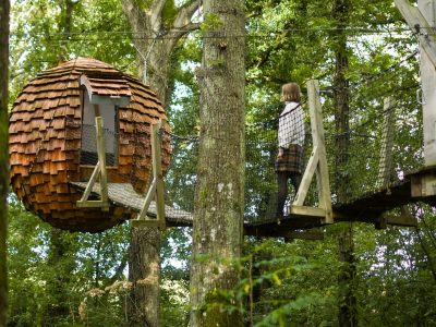 Cabane dans les arbres à Hauts-de-France, avec un toit en écorce et un pont suspendu.