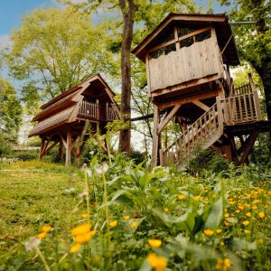 Cabane dans les arbres à Hauts-de-France, entourée de verdure et de fleurs jaunes.