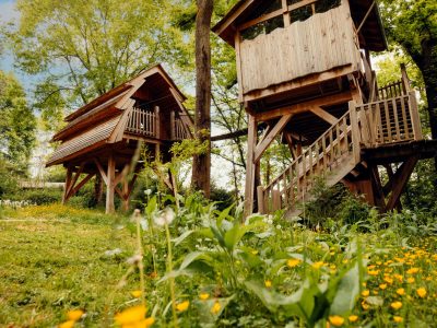 Cabane dans les arbres à Hauts-de-France, entourée de verdure et de fleurs jaunes.