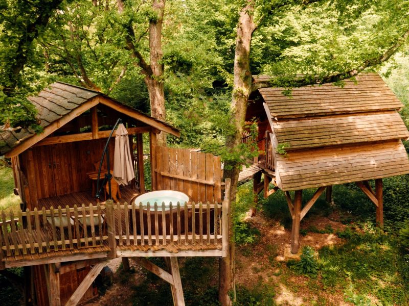 Cabane perchée dans les arbres avec jacuzzi, entourée de verdure à Hauts-de-France.