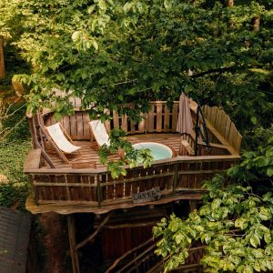 Cabane perchée dans les arbres avec jacuzzi, entourée de verdure luxuriante.