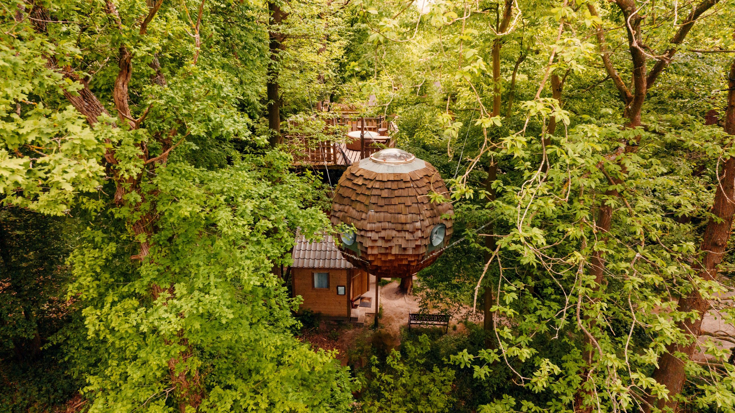 Quelle cabane est faite pour moi ? - Le Bois de Rosoy