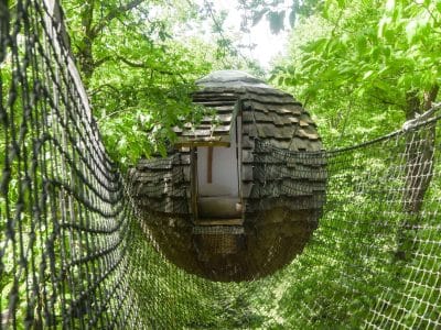 Cabane suspendue dans les arbres, entourée de verdure luxuriante.