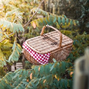 Panier suspendu dans les arbres, un hébergement insolite en Hauts-de-France.