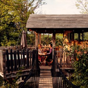 Cabane perchée dans les arbres, avec une passerelle suspendue et vue sur la nature.