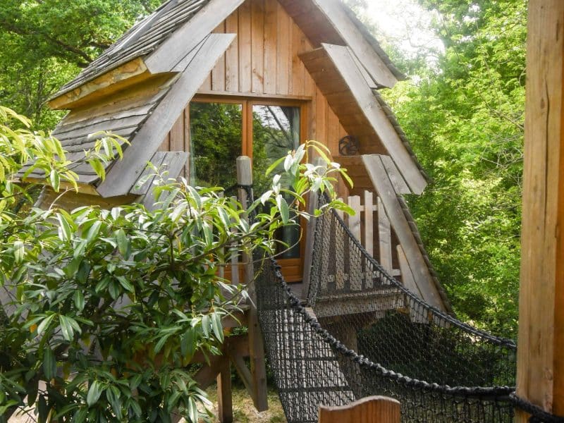 Cabane dans les arbres avec un pont suspendu, entourée de verdure luxuriante.
