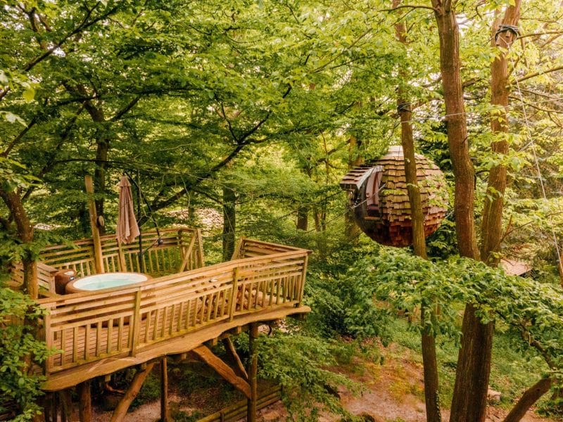 Cabane dans les arbres avec jacuzzi, entourée de verdure luxuriante à Hauts-de-France.