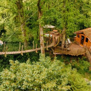 Quelle cabane est faite pour moi ? - Le Bois de Rosoy