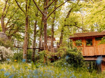 Cabane dans les arbres à Hauts-de-France, entourée de verdure et fleurs sauvages.