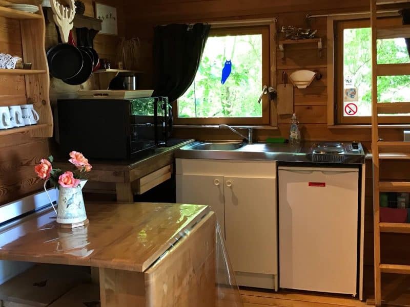 Cabane en bois avec cuisine équipée et fenêtres lumineuses.