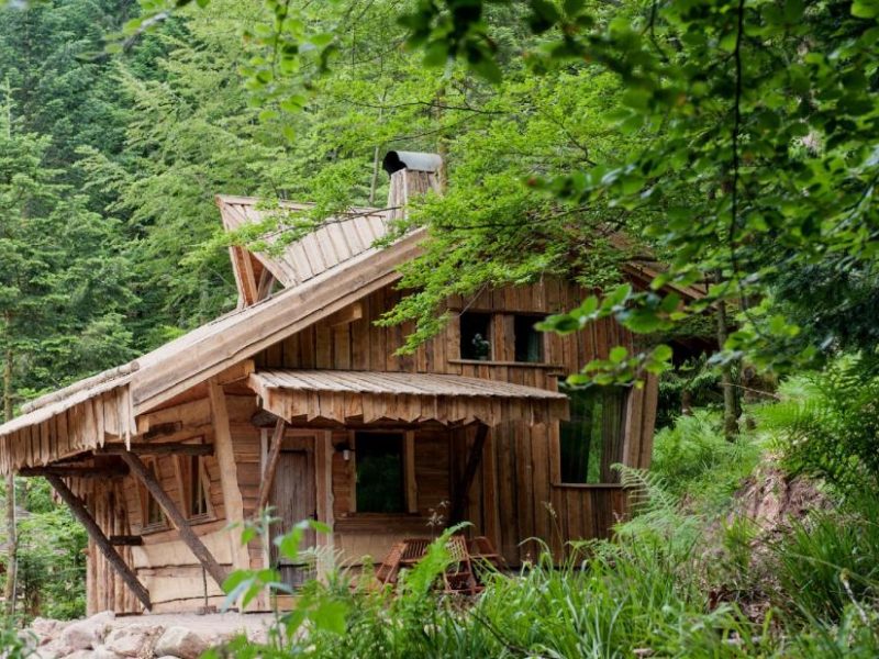 Cabane en bois nichée dans la verdure, offrant un cadre naturel apaisant.