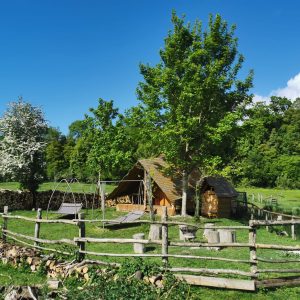Hébergement insolite en cabane, entouré darbres et dun jardin verdoyant.