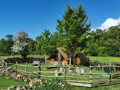 Hébergement insolite en cabane, entouré darbres et dun jardin verdoyant.