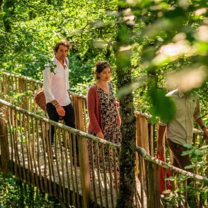 Hébergement insolite en Aquitaine : cabane dans les arbres, pont en bois au milieu des feuillages.