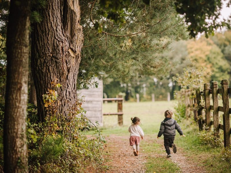 Chemin menant à un gîte rural, enfants jouant près des arbres.