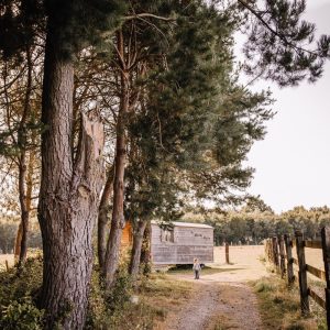 Hébergement insolite en roulotte au cœur de la nature, entouré darbres majestueux.