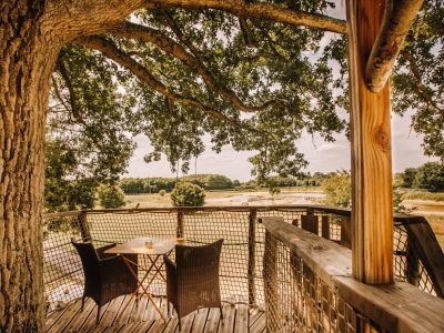 Cabane perchée dans un arbre, avec une vue dégagée sur la nature environnante.