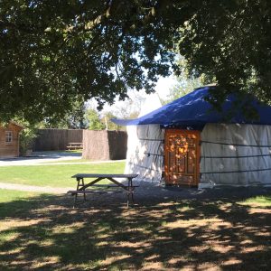 Yourte traditionnelle avec porte en bois, entourée dun jardin verdoyant.