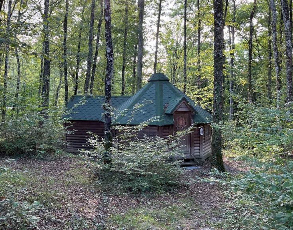 Cabane en bois au cœur de la forêt, entourée de verdure luxuriante.