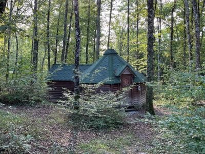 Cabane en bois au cœur de la forêt, entourée de verdure luxuriante.