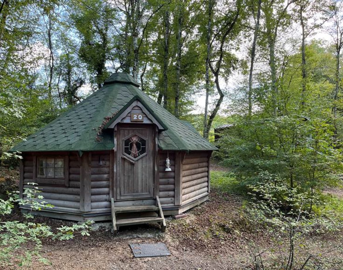 Cabane en bois au cœur de la nature, entourée darbres verdoyants.