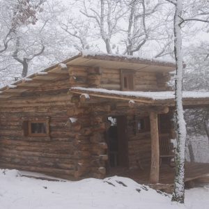 Cabane en bois dans la neige, entourée darbres, offrant un cadre paisible.